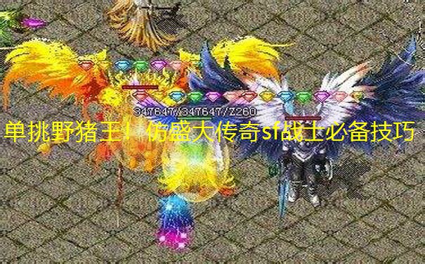 单挑野猪王！仿盛大传奇sf战士必备技巧