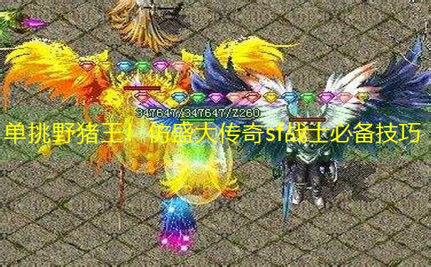 单挑野猪王！仿盛大传奇sf战士必备技巧