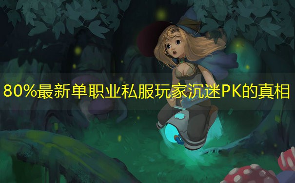 80%最新单职业私服玩家沉迷PK的真相