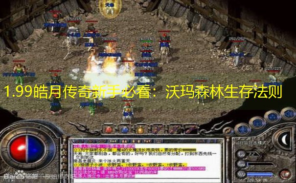 1.99皓月传奇新手必看：沃玛森林生存法则