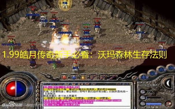 1.99皓月传奇新手必看：沃玛森林生存法则
