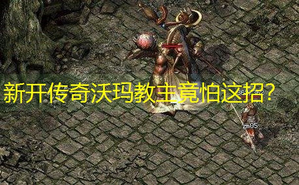 新开传奇沃玛教主竟怕这招？