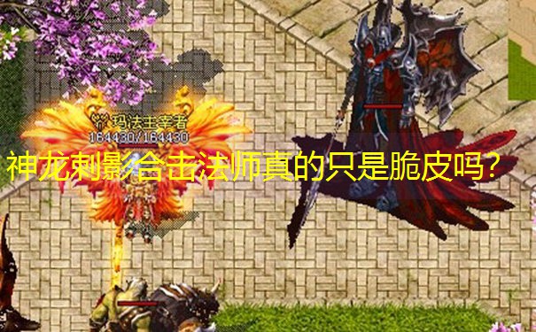 神龙刺影合击法师真的只是脆皮吗？