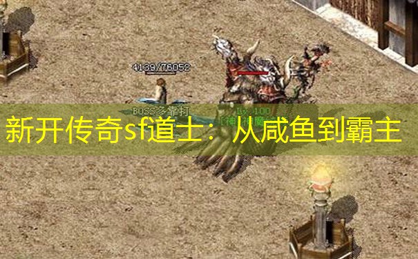 新开传奇sf道士：从咸鱼到霸主