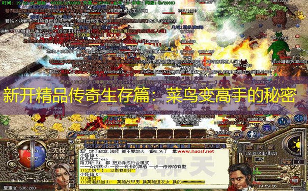 新开精品传奇生存篇：菜鸟变高手的秘密