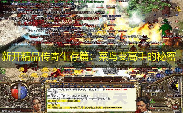 新开精品传奇生存篇：菜鸟变高手的秘密