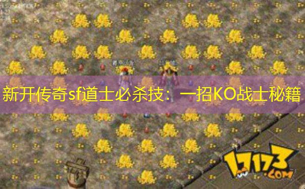 新开传奇sf道士必杀技：一招KO战士秘籍