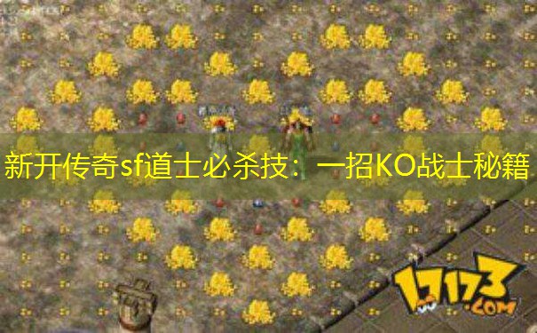 新开传奇sf道士必杀技：一招KO战士秘籍