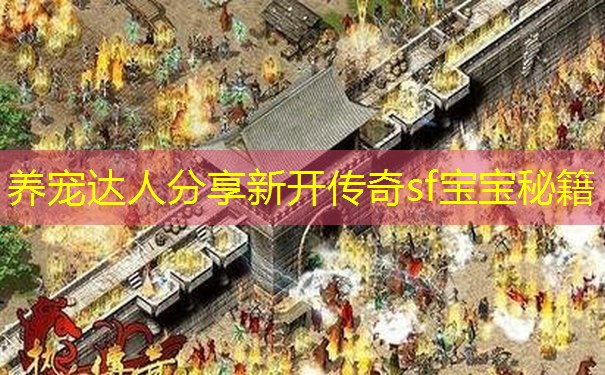 养宠达人分享新开传奇sf宝宝秘籍