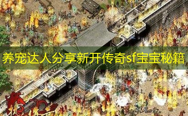 养宠达人分享新开传奇sf宝宝秘籍